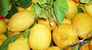 limoni_di_sorrento